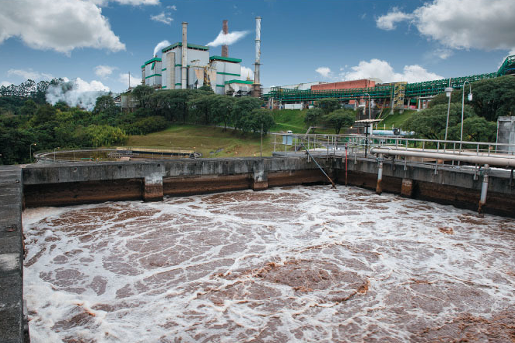 Paper Mill’s water circuit closing, Process challenges and its importance.