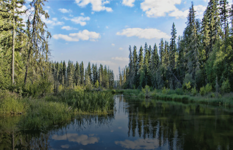 “Paper Excellence Canada Releases 2022 Sustainability Report Highlighting Environmental Progress and Corporate Citizenship”